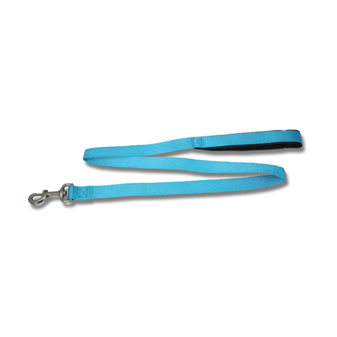 Bainbridge Dog Lead Webb Padded 2.5cmX120cm [CLR:Aqua]