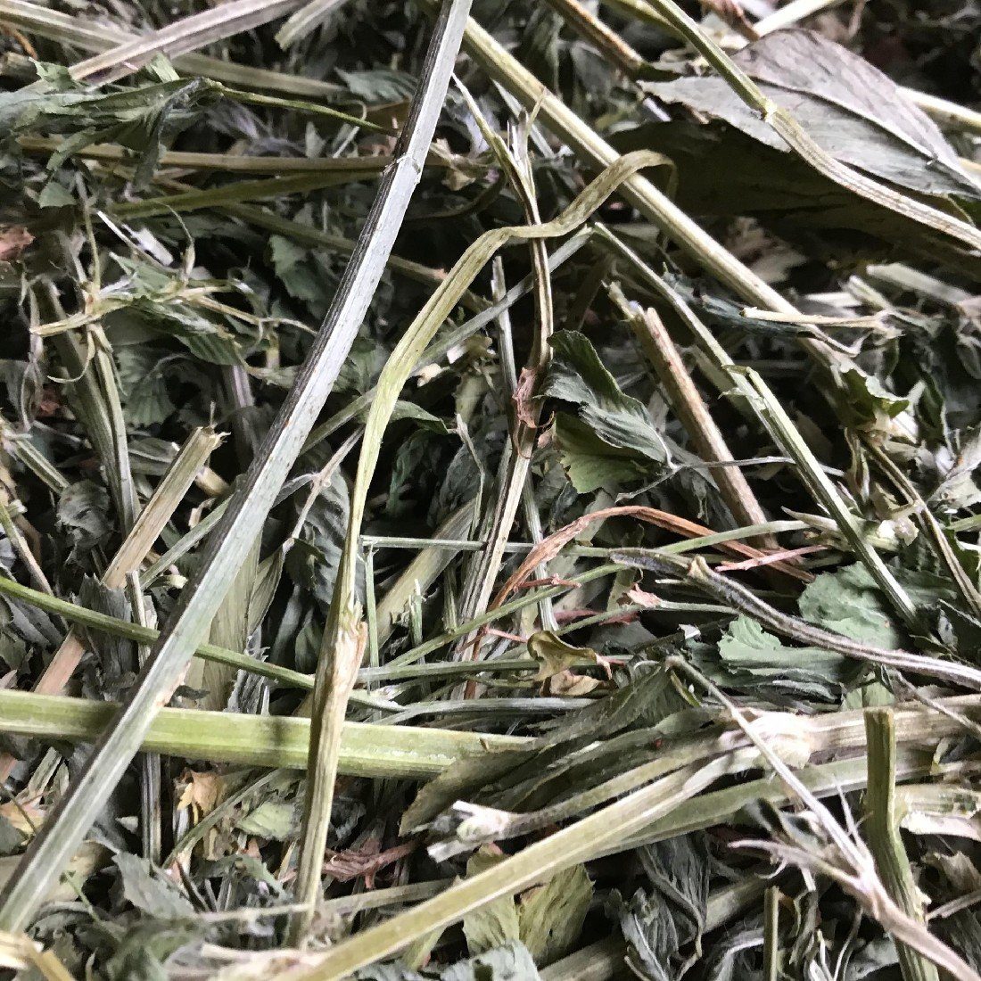 GREENACRES LUCERNE HAY 1.4KG | Southside Stockfeeds Kilmore