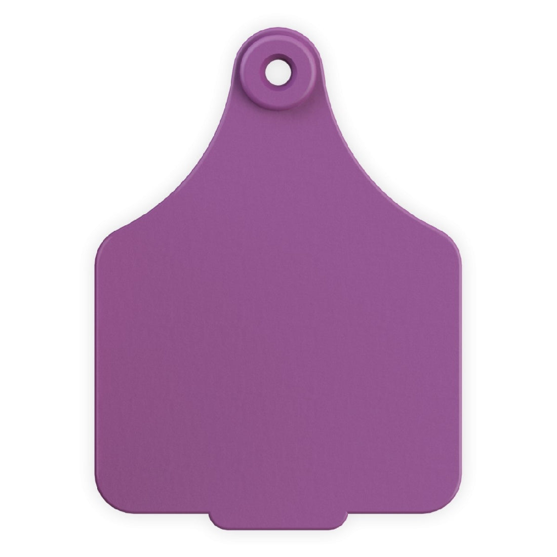 Leader Ear Tags Female Maxi Purple Each