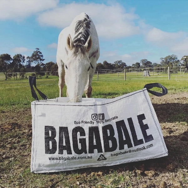 Bagabale Bale Buddy