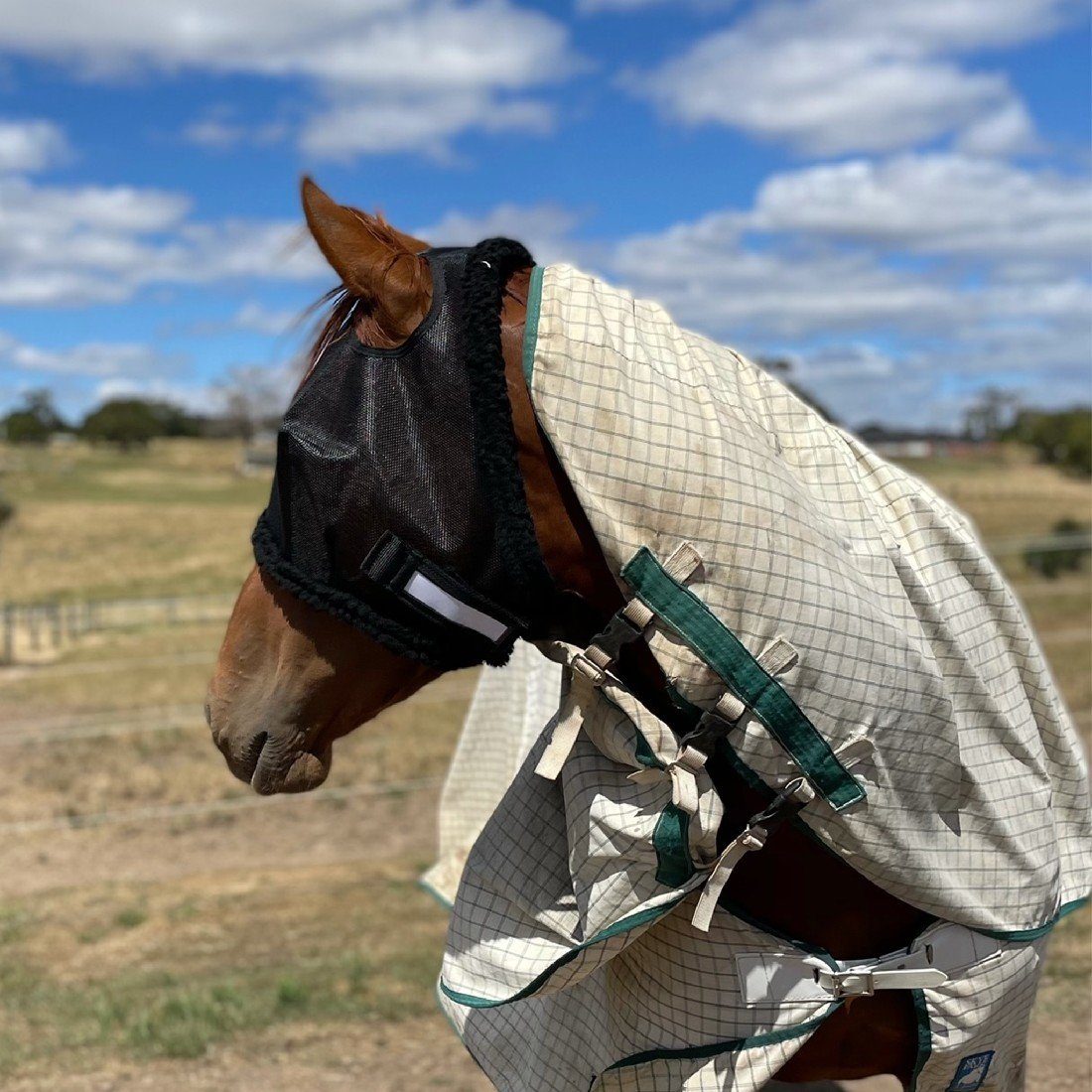 AXCEL FLY MASKS XL | Southside Stockfeeds Kilmore