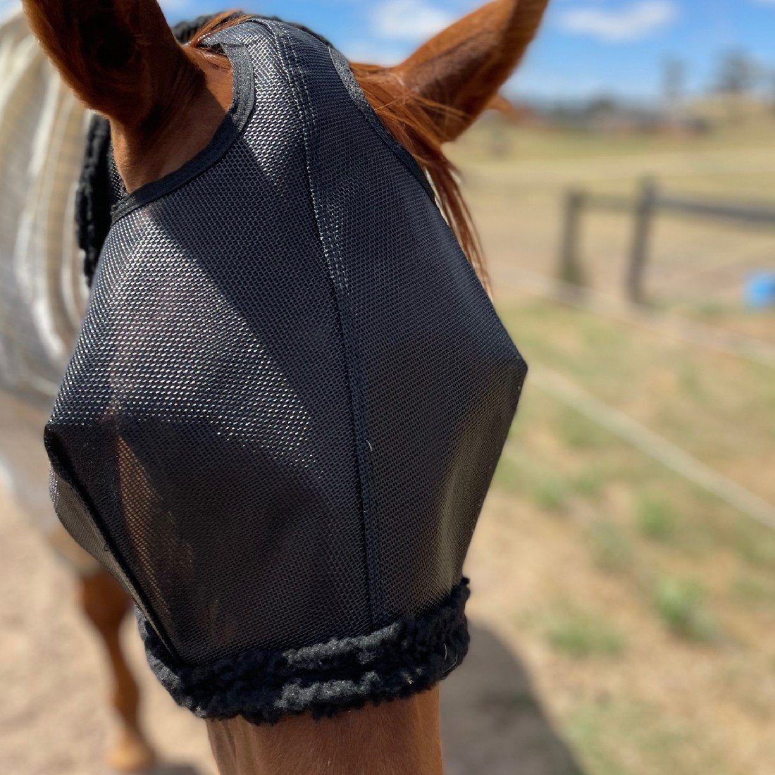 AXCEL FLY MASKS XL | Southside Stockfeeds Kilmore