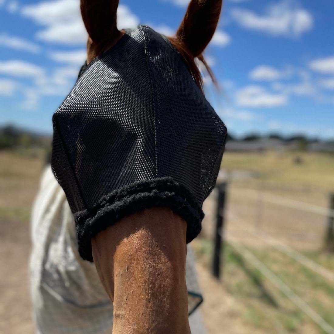 AXCEL FLY MASKS XL | Southside Stockfeeds Kilmore