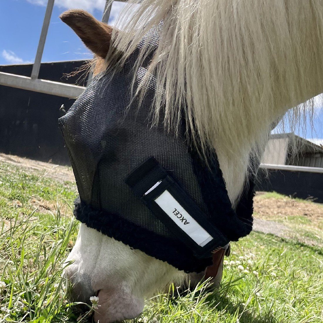 AXCEL FLY MASKS XL | Southside Stockfeeds Kilmore