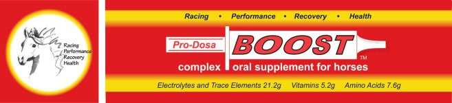 BOOST ORAL PASTE FOR HORSES 80ML