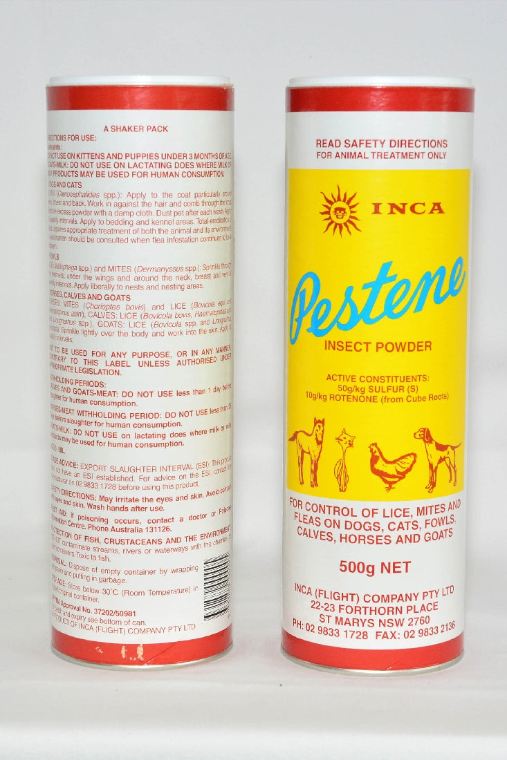 PESTENE POWDER 500GR